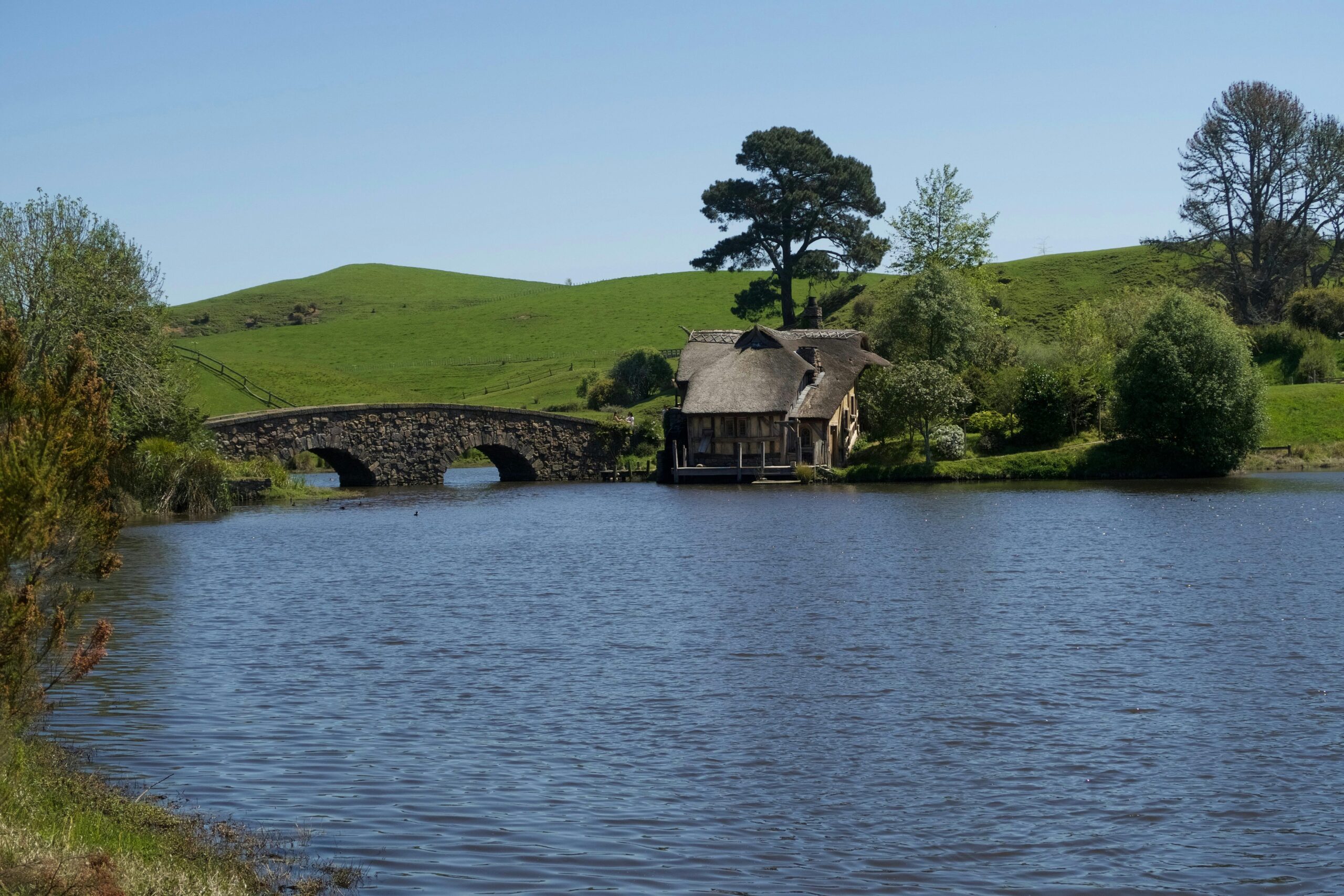 TranzAlpine train New Zealand mountains