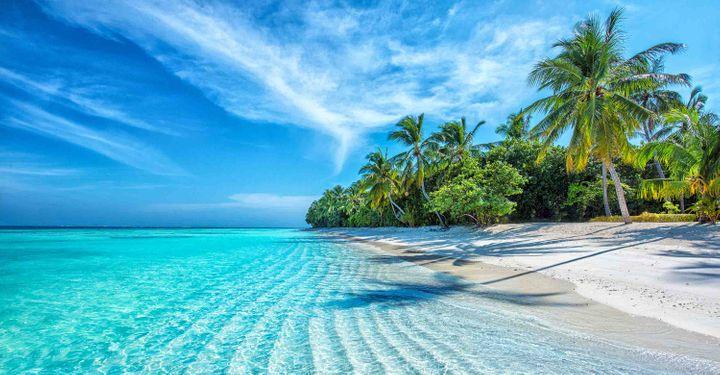 International holiday packages