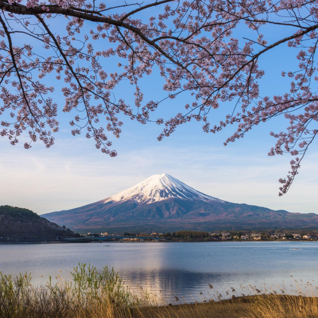 International holiday packages